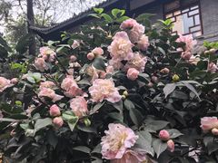 -大妙火锅·非物质文化遗产(东湖公园店)