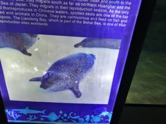 -福州罗源湾海洋世界旅游区