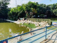 -广州长隆飞鸟乐园