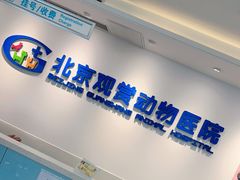 -北京观赏动物医院·24小时大型综合·猫专科·异宠专科