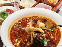 -乐忻皇朝(上海中心大厦店)