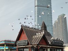 -星海广场