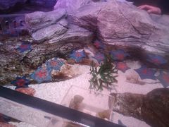 -沈阳海洋探索中心