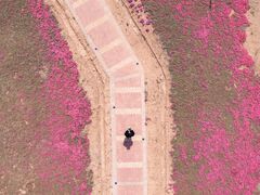 -东南大学(九龙湖校区)