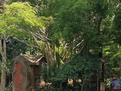 -野象谷景区