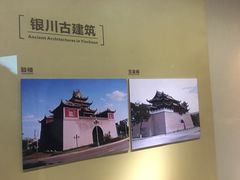 -宁夏博物馆
