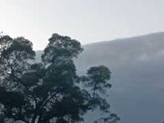 -福道