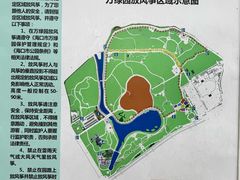 -万绿园