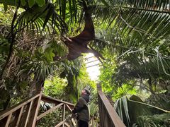 -呀路古热带植物园-恐龙馆