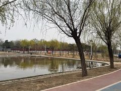 -绿堤公园