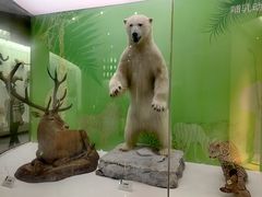 -国家自然博物馆