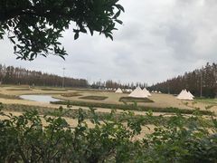 -上海长兴岛郊野公园