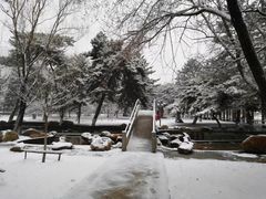 -东北大学(南湖校区)