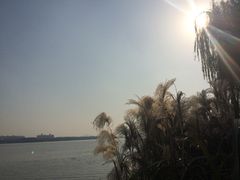 蠡湖公园-蠡湖大桥公园