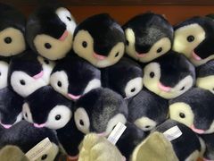 -太平洋海底世界