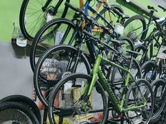 -道路口单车爱瓦士dahon大行