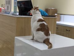 -惠康宠物医院(华能路店)