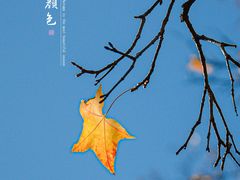 -香山公园