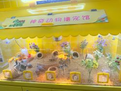 -神奇动物撸宠馆·羊驼·小浣熊·异宠(豫园店)