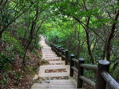 景点-大阳山国家森林公园