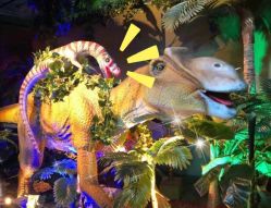 -恐龙探索乐园(磁器口店)