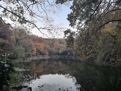 -灵谷景区