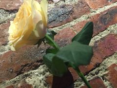 -在路上酒吧(大理古城店)