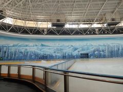 -世界之窗阿尔卑斯冰雪世界