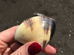 -灌篮高手动画打卡地