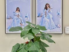 -HIMO海马体照相馆(上海华润CP静安店)