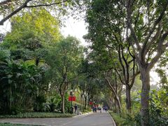 -云溪植物园