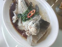-八仔大富楼·河鲜(西江店)