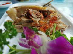 手抓羊脖-老毛手抓·盐池滩羊非遗手抓(宁夏总店)