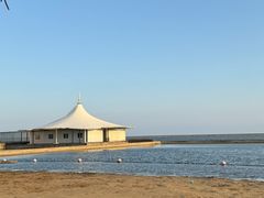 -碧海金沙