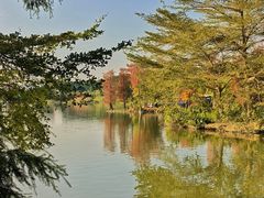 -海珠湖公园