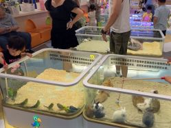 -meland亲子乐园•派对•研学(苏州悠方购物中心店)