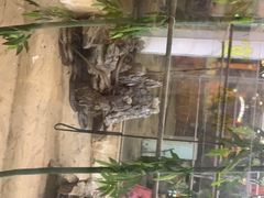 -荔城生鲜盛宴(番禺旗舰店)