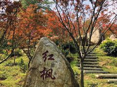 -广州市帽峰山景区