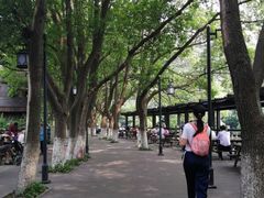 -白马涧龙池景区