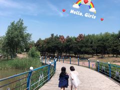 -蒲河岛湿地公园