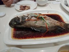 蒸青石斑鱼-太兴餐厅(东方广场分店)