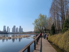 -前关湿地公园