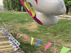 -长白岛森林公园