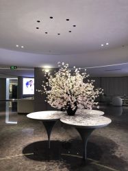 -广州美莱医疗美容医院