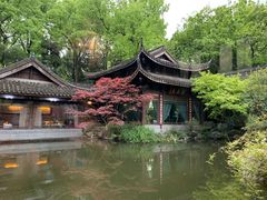 -乾园.魏庐湖景餐厅(花港店)