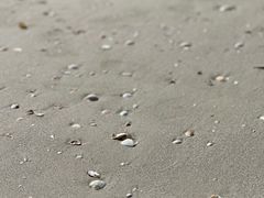 -侨港海滩