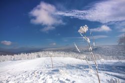 -大秃顶子山