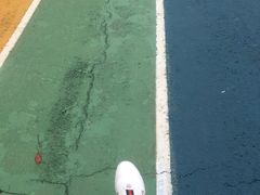 -贡湖湾湿地公园