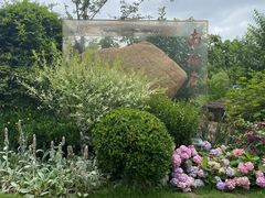 -吴淞炮台湾湿地森林公园烧烤区