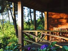 -重庆雨台山风景区